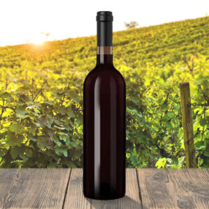 Château Roc de Cambes