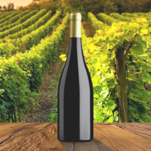 Domaine de la Pierre des Dames Mâcon-Prissé