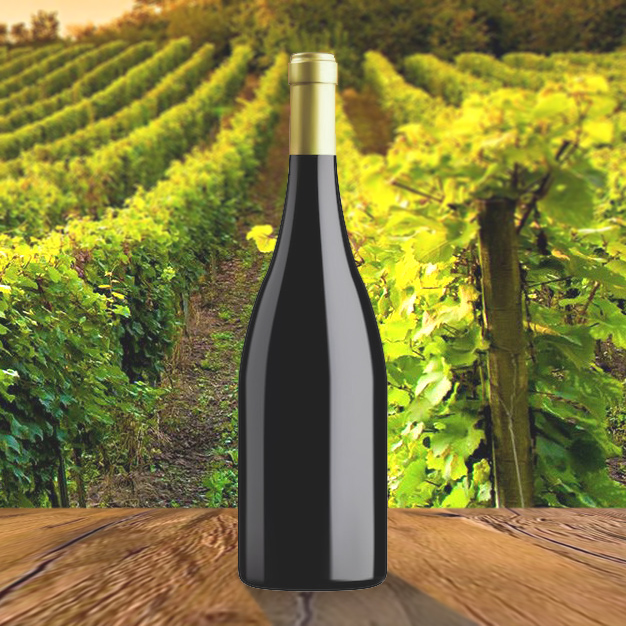 Domaine de la Pierre des Dames Mâcon-Prissé